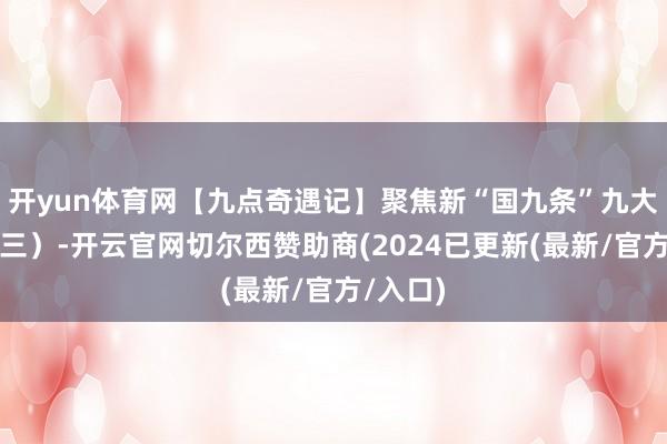 开yun体育网【九点奇遇记】聚焦新“国九条”九大看点（三）-开云官网切尔西赞助商(2024已更新(最新/官方/入口)
