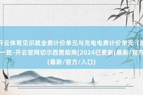 开云体育见识就业费计价单元与充电电费计价单元（度）保抓一致-开云官网切尔西赞助商(2024已更新(最新/官方/入口)